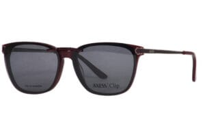 AXESS 2709