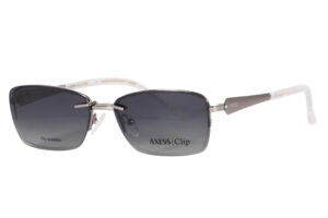 AXESS 3113