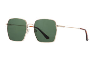 AXESS SOLAR 9069 ELI