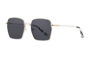 AXESS SOLAR 9069 ELI
