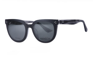AXESS 2731