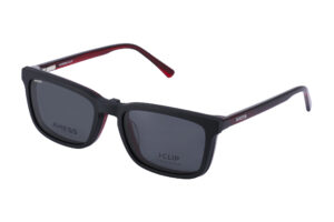 AXESS 2739