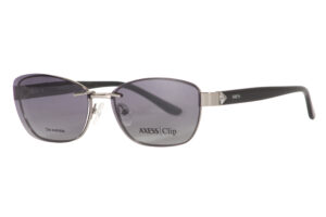 AXESS 3117
